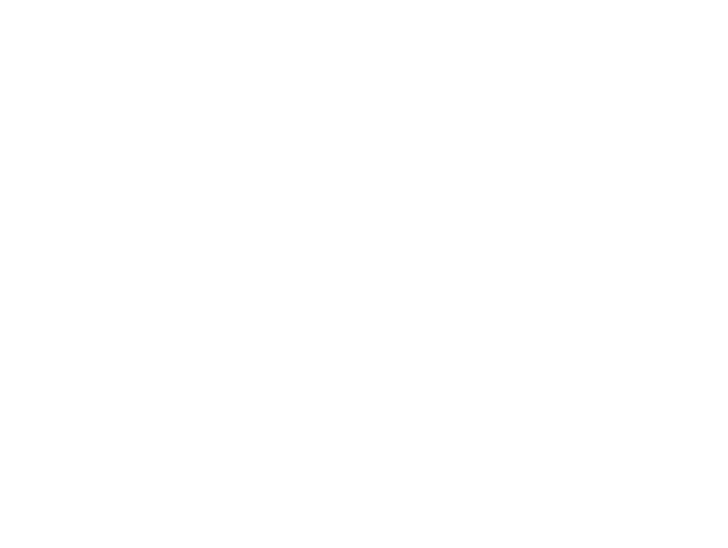 Turning Your Vision Into Reality.