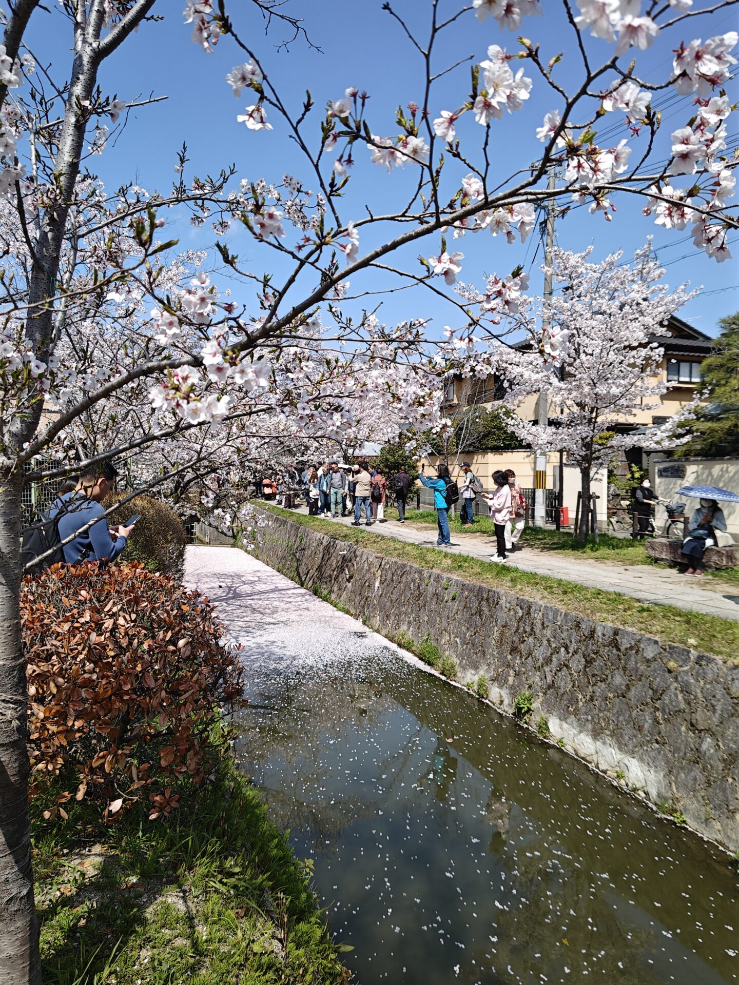 Tetsugaku no michi