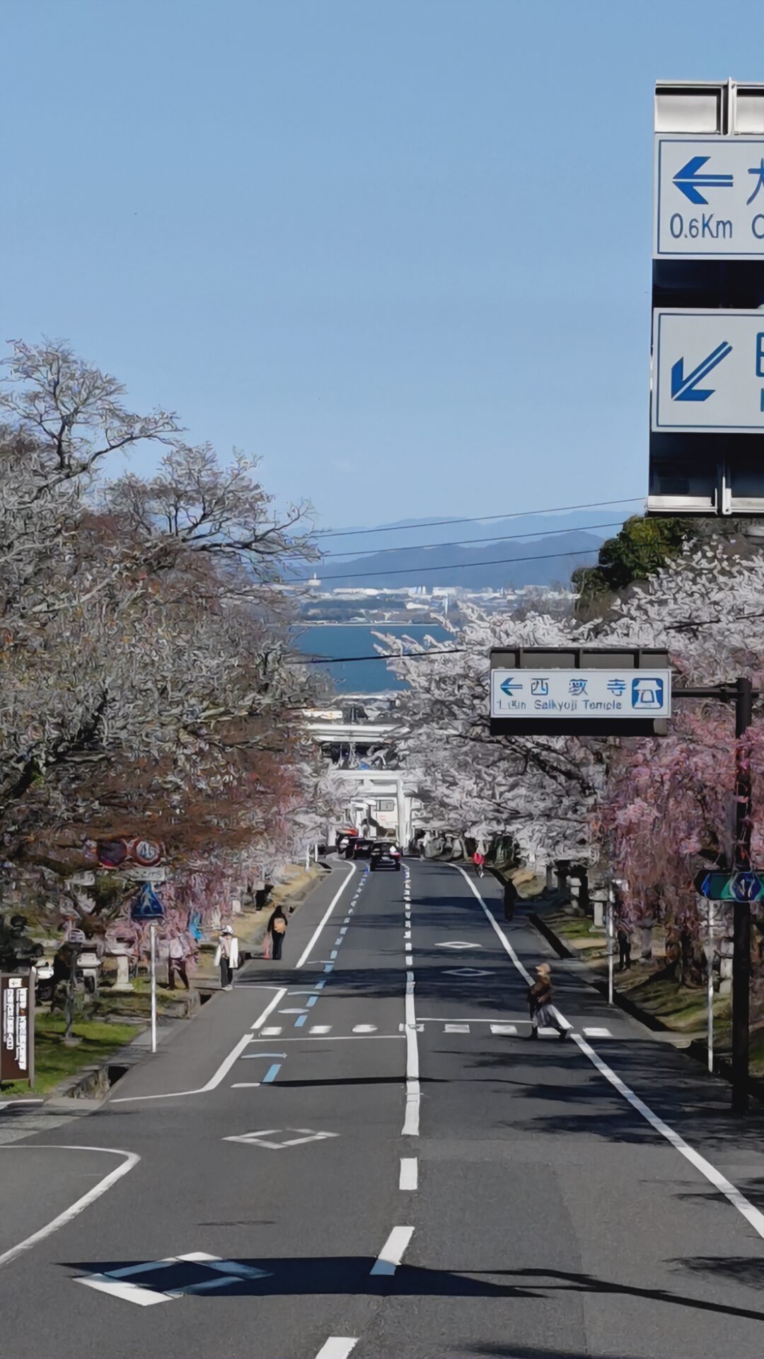 春の訪れを感じる、桜めぐり